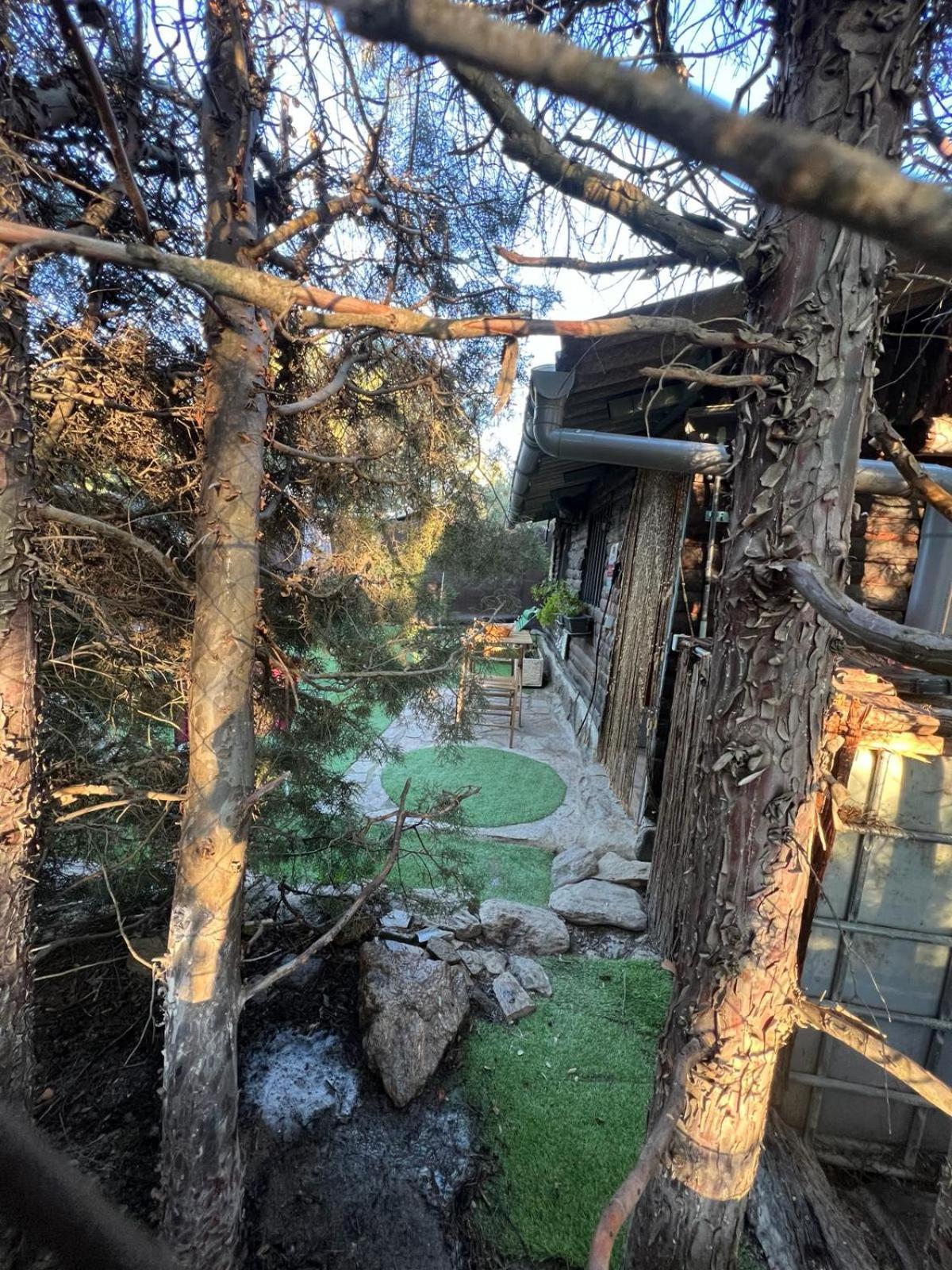Ecologica Del Chalet Paredes de Buitrago