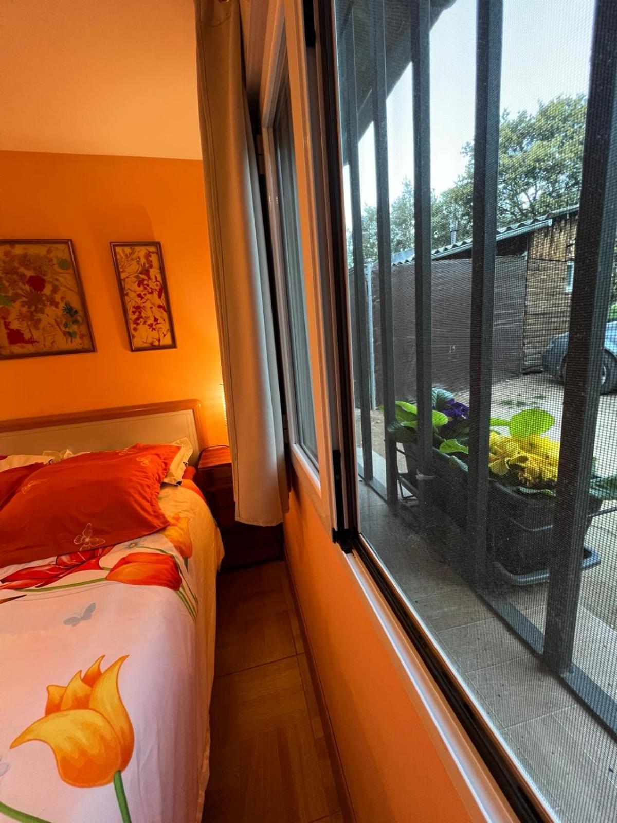 Ecologica Del Chalet Paredes de Buitrago